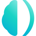 Brainomix 360 e-CTA