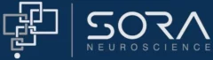 Cirrus Resting State fMRI Software