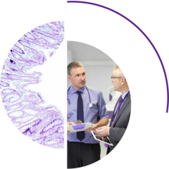 GENESEEQPRIME NGS Tumor Profiling Assay (FFPE)