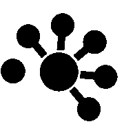 NeuroICH