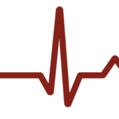 RX-1 Rhythm Express Remote Cardiac Monitoring System