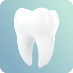 Second Opinion Periapical Radiolucency Contours