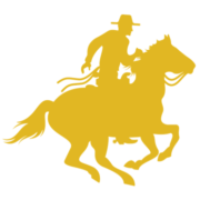 Access Venture Partners