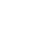BlueRun Ventures Asia
