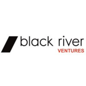 BlueRun Ventures