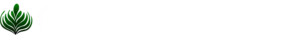 Chai Ventures