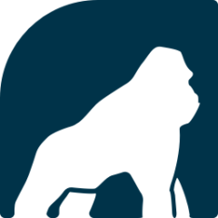 Health Gorilla APIs