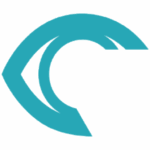 RSIP Vision