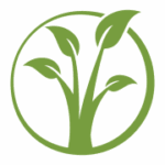 Sprout Fund
