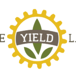 The Yield Lab Europe