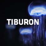 Tiburon