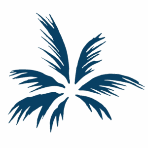 Velum Ventures