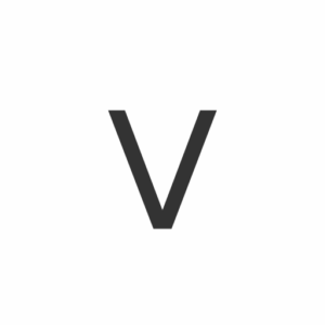 Vision Plus Capital