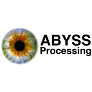 Abyss Processing