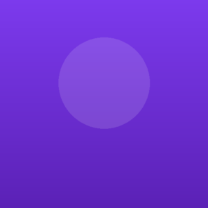 Persyst Development