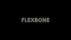 Flexbone AI Denials Management