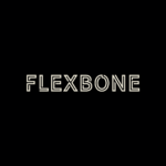 Flexbone AI