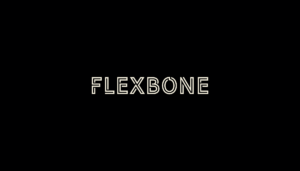 Flexbone AI