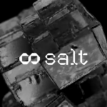 Salt Technologies AI