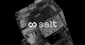 Salt Technologies AI