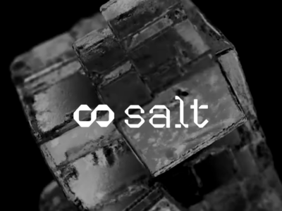 Salt Technologies AI